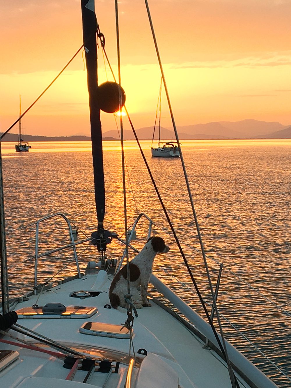 EDEN Permis bateau Hyères