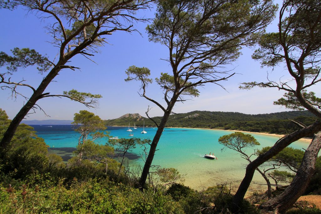 EDEN PERMIS BATEAU HYERE
